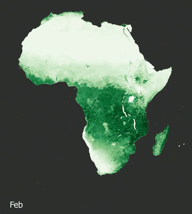 非洲大陆全年的植被密度变化，不知道有多少生物穷其一生都在追逐那片绿。