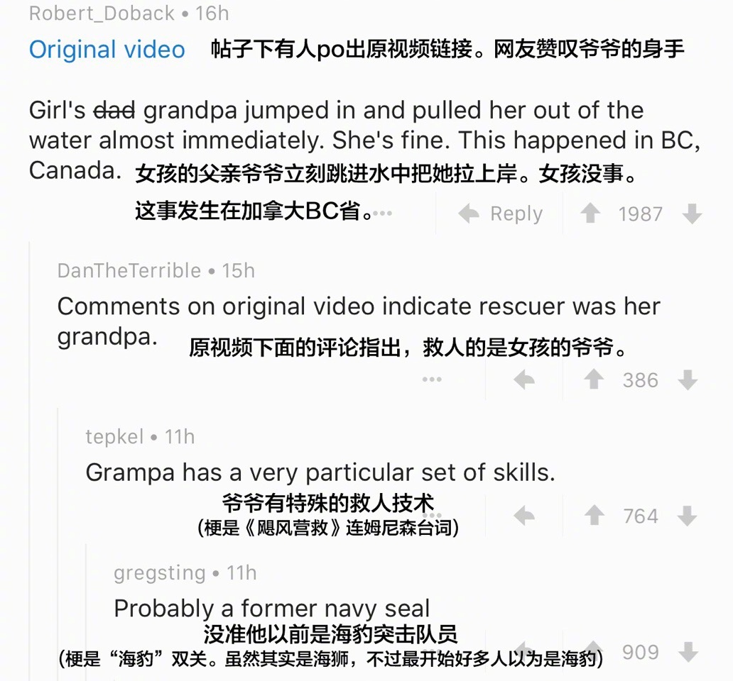 关于小女孩被海狮拖下水事件的一些Reddit网友评论（慎点） ​​​​