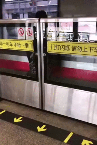 在上海地铁站，一大姐被关在屏蔽门内， 然而这时地铁已经开动