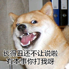 长得丑还不让说-聊天表情-搞笑图片表情包-表情包网站