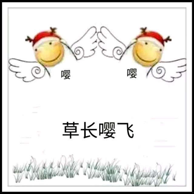 反恐精嘤-qq表情包-搞笑图片表情#滑稽#奥义奥义嘤花.功!