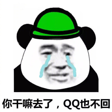 qq也不回