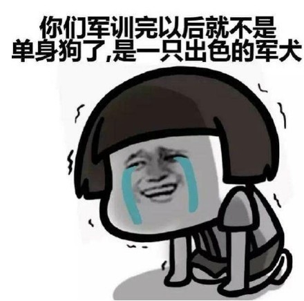 包军训完后你们就不是单身狗了,是军犬表情包这苦逼的军训日子表情包