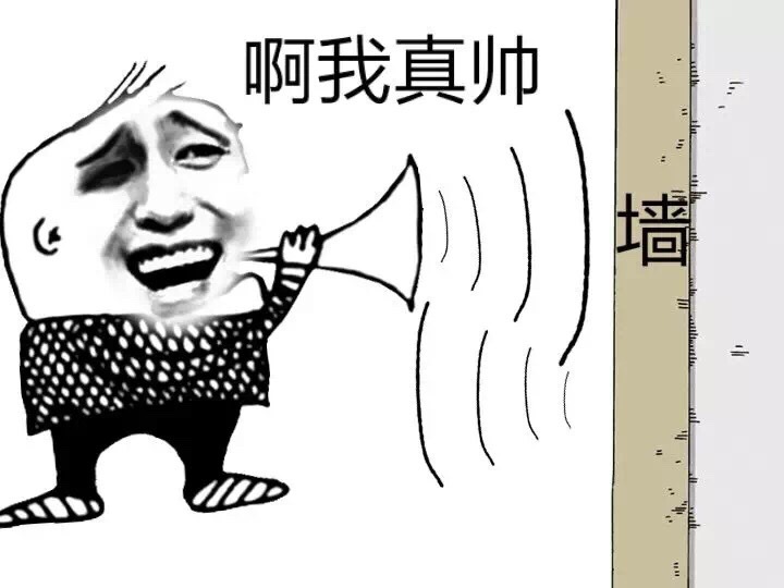 啊,我真帅:墙!
