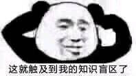 知识盲区熊猫表情包图片