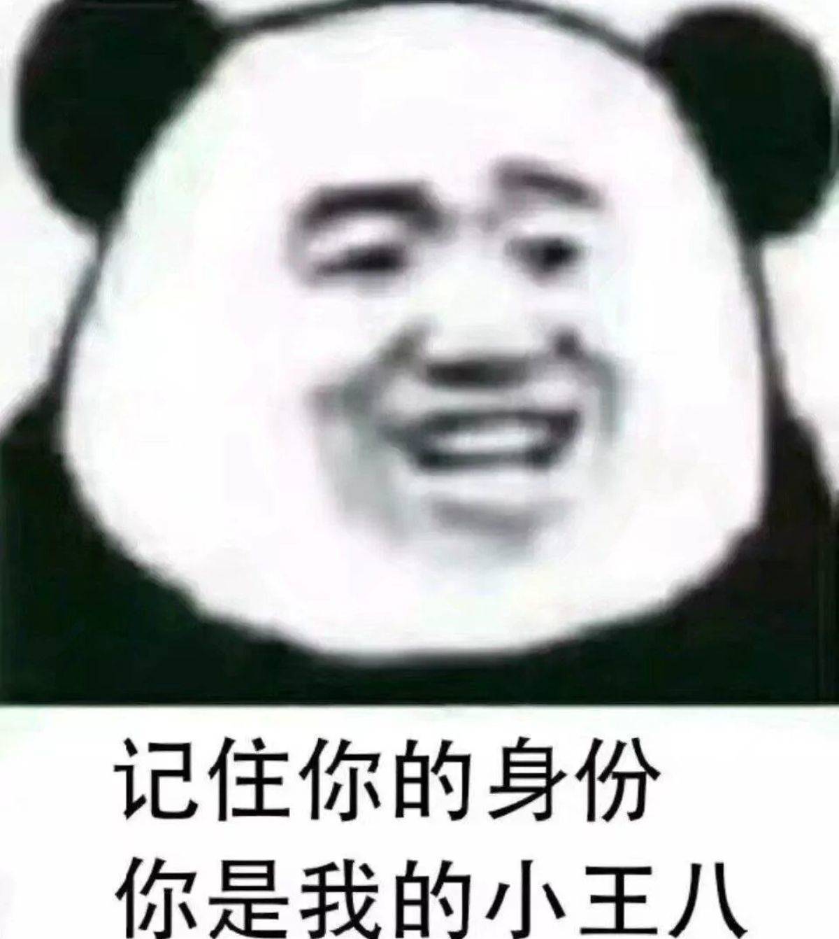 记住你的身份你是我的小王八搞笑表情包斗图表情