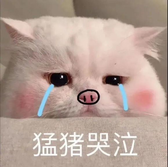 暴风哭泣jpg表情包素材斗图表情