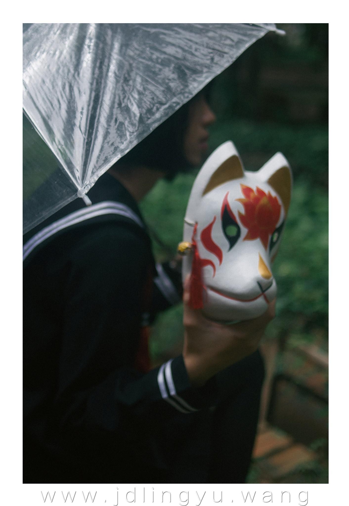 雨の中のキツネ