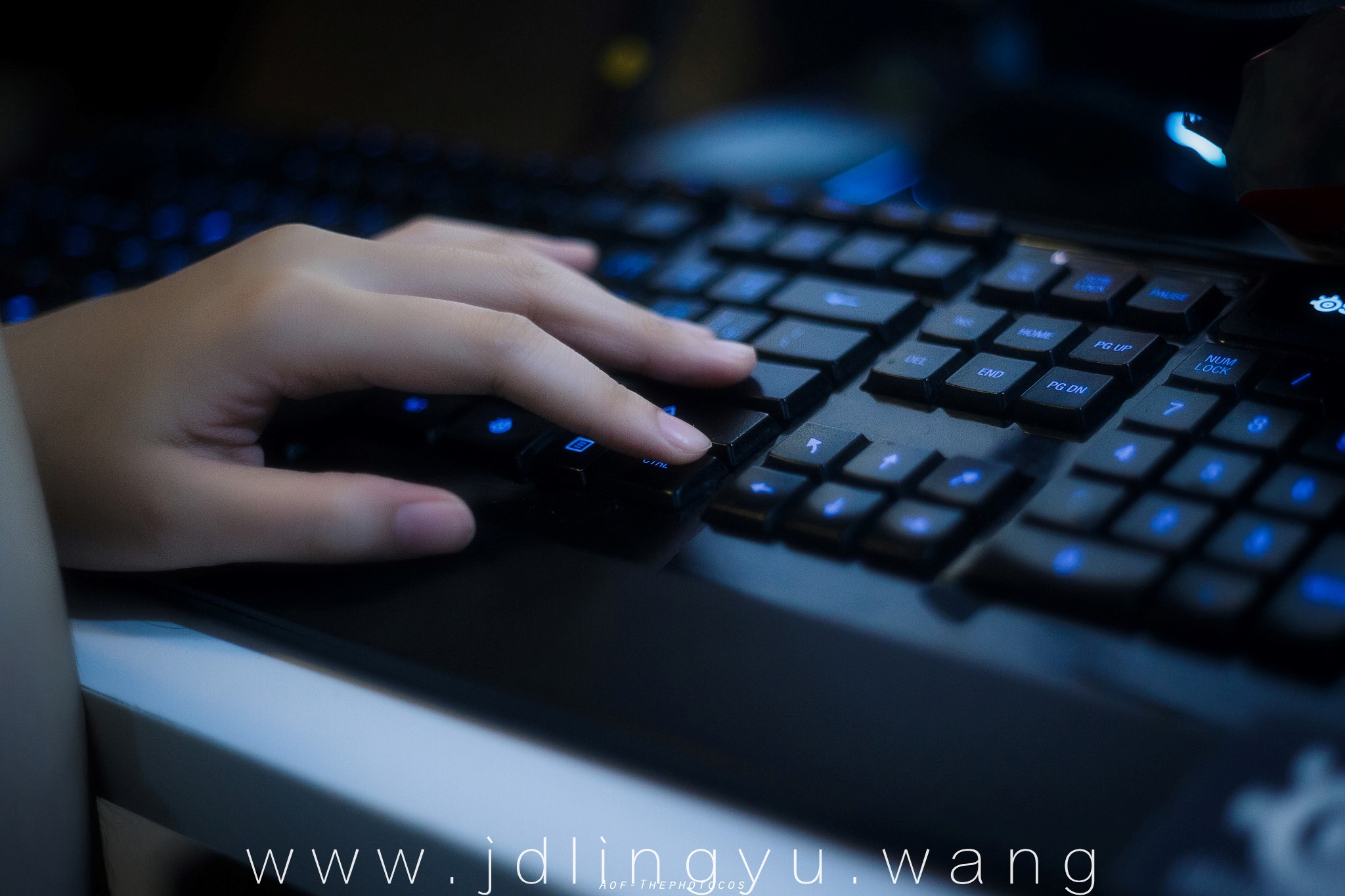 周末就是要宅在家里