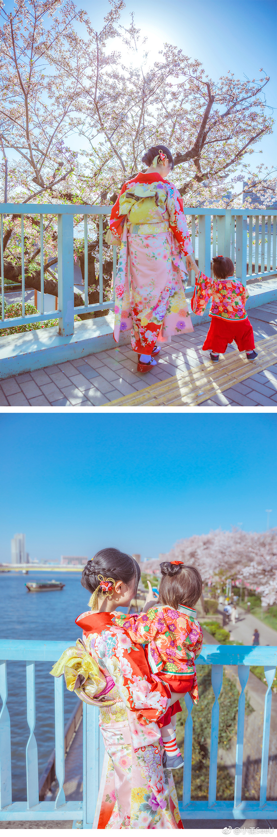 浅草寺赏樱