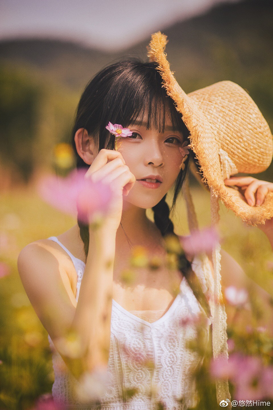 四月 格桑花