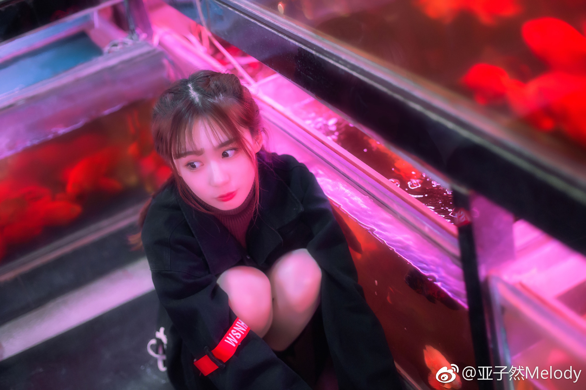 鱼只有七秒钟的记忆