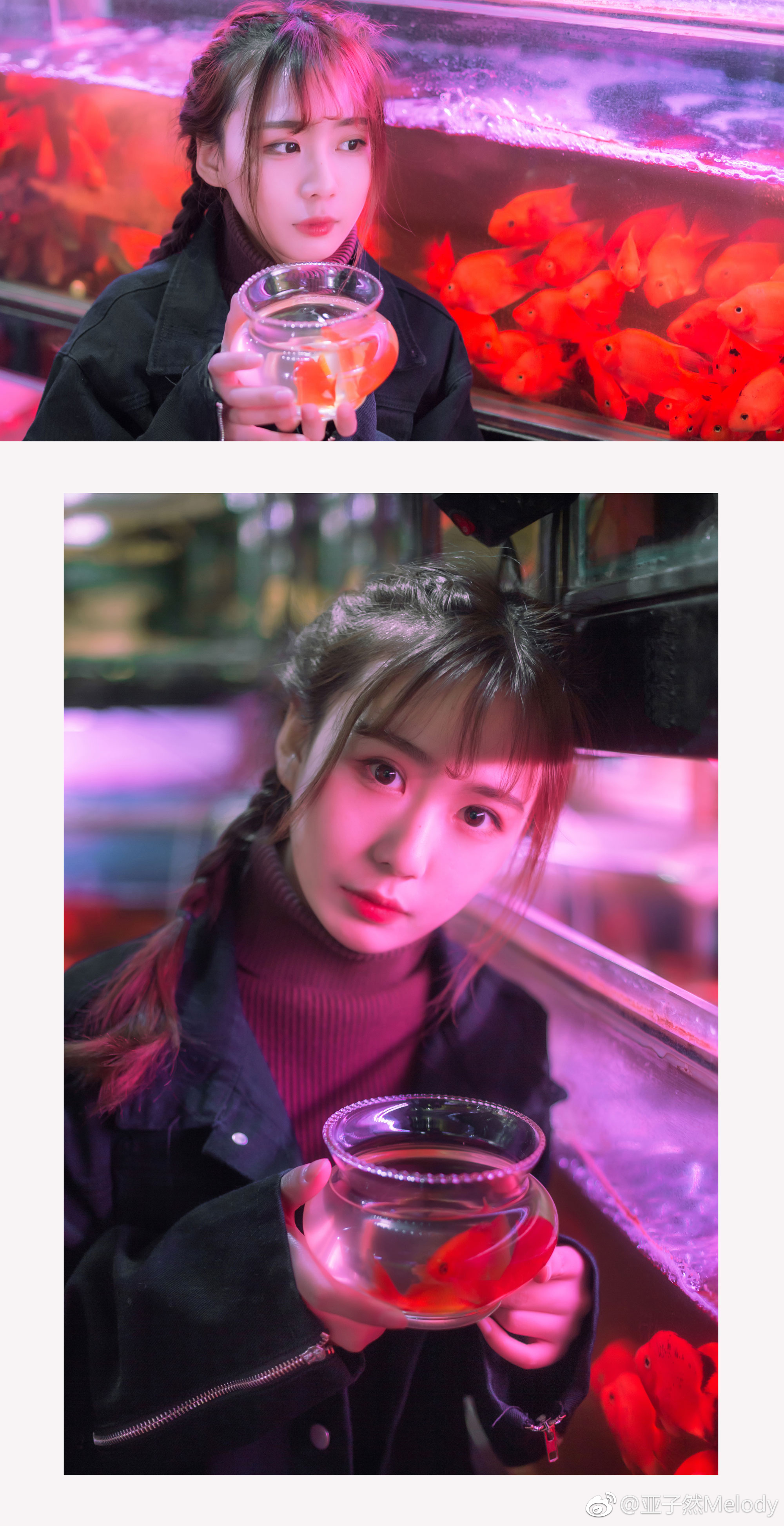 鱼只有七秒钟的记忆
