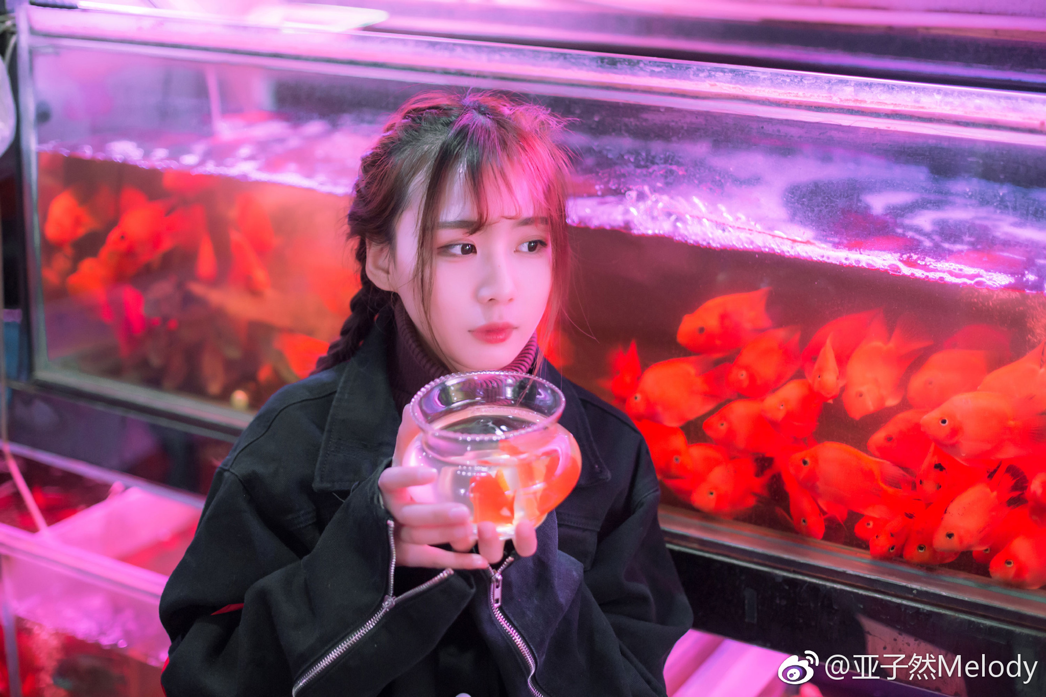 鱼只有七秒钟的记忆