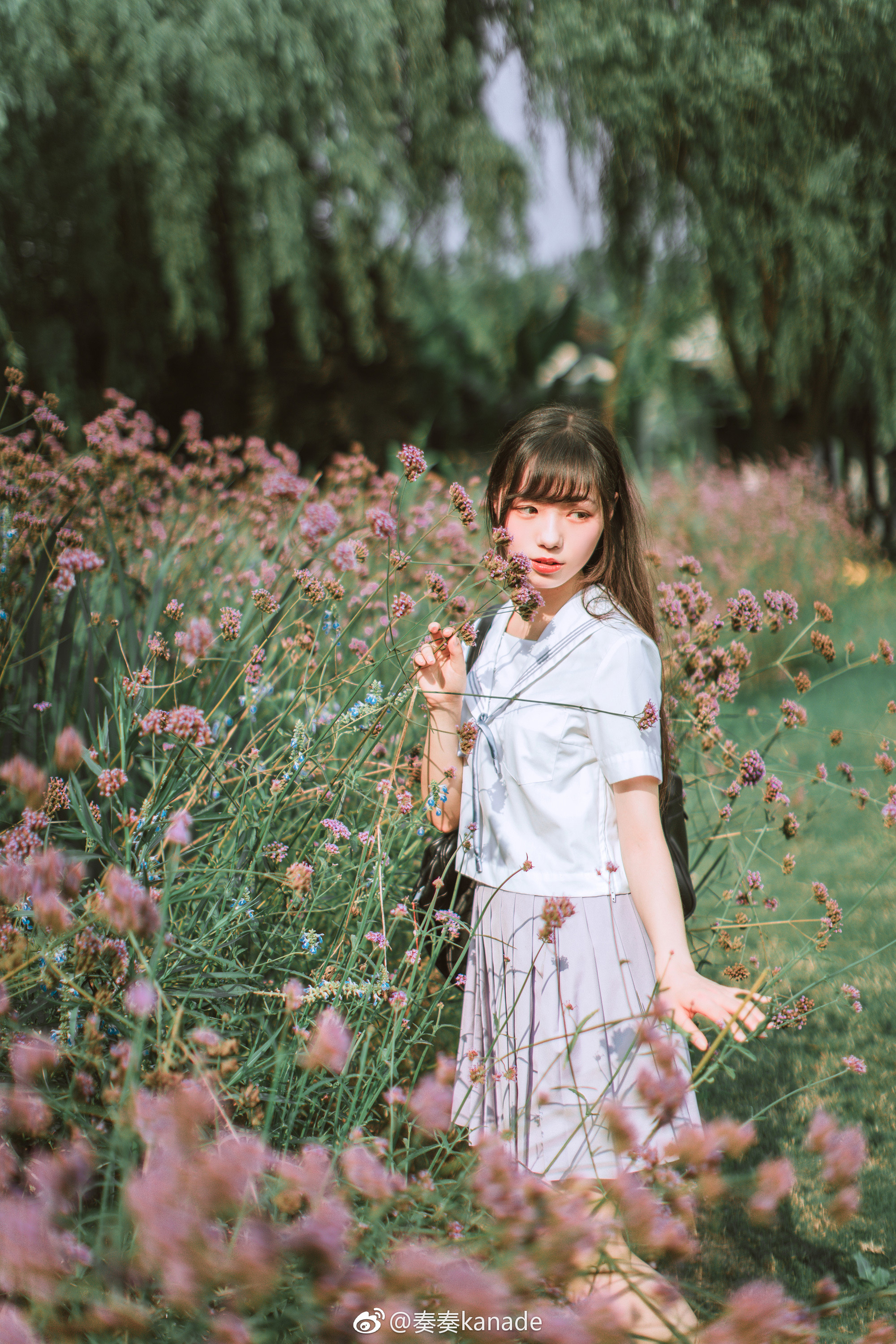 夏日午后的时光