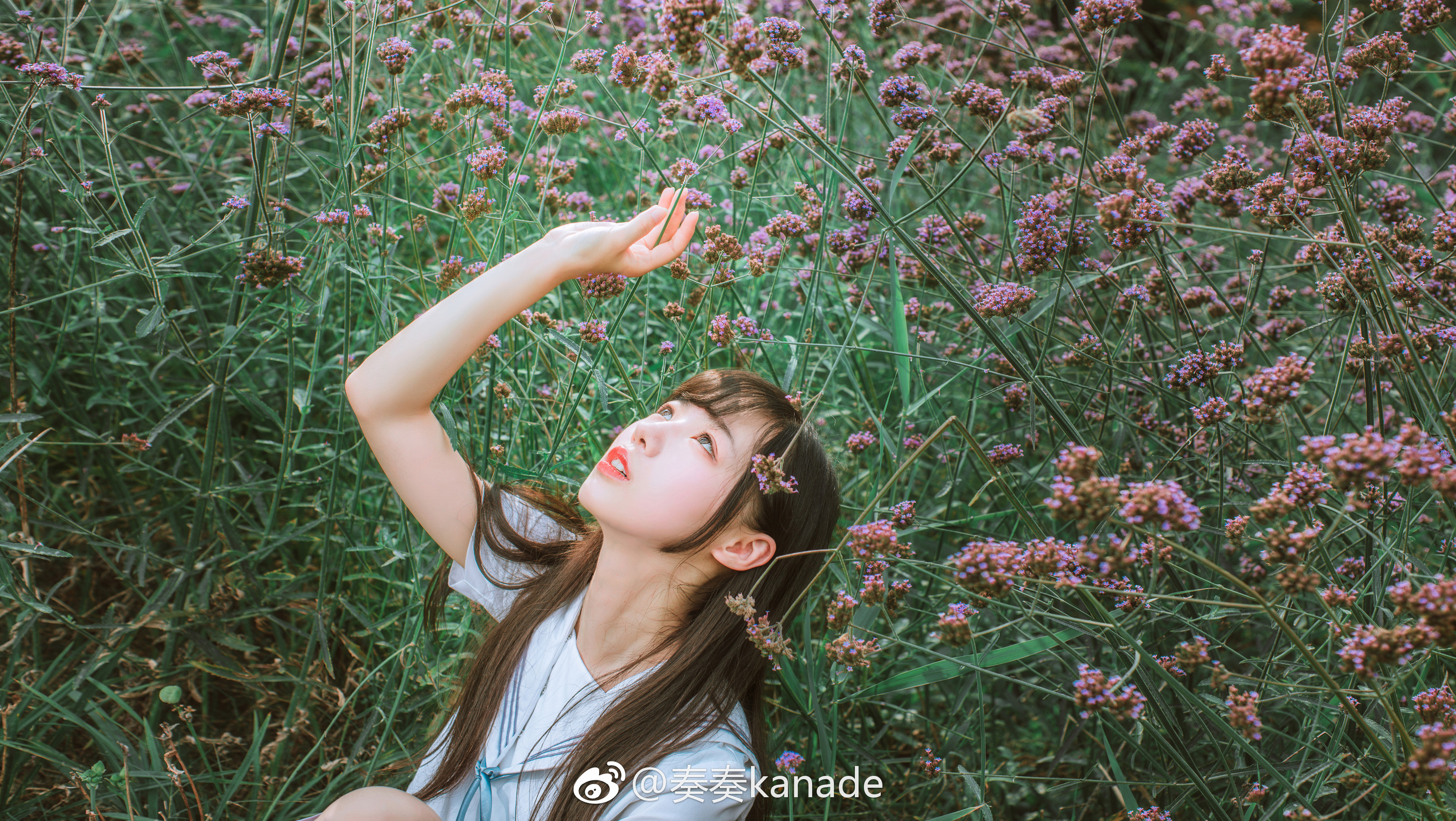 夏日午后的时光