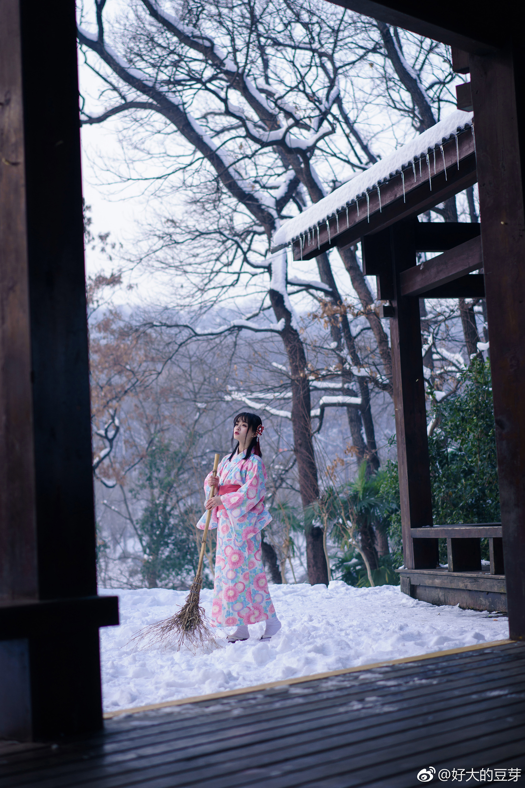 怀念这场大雪