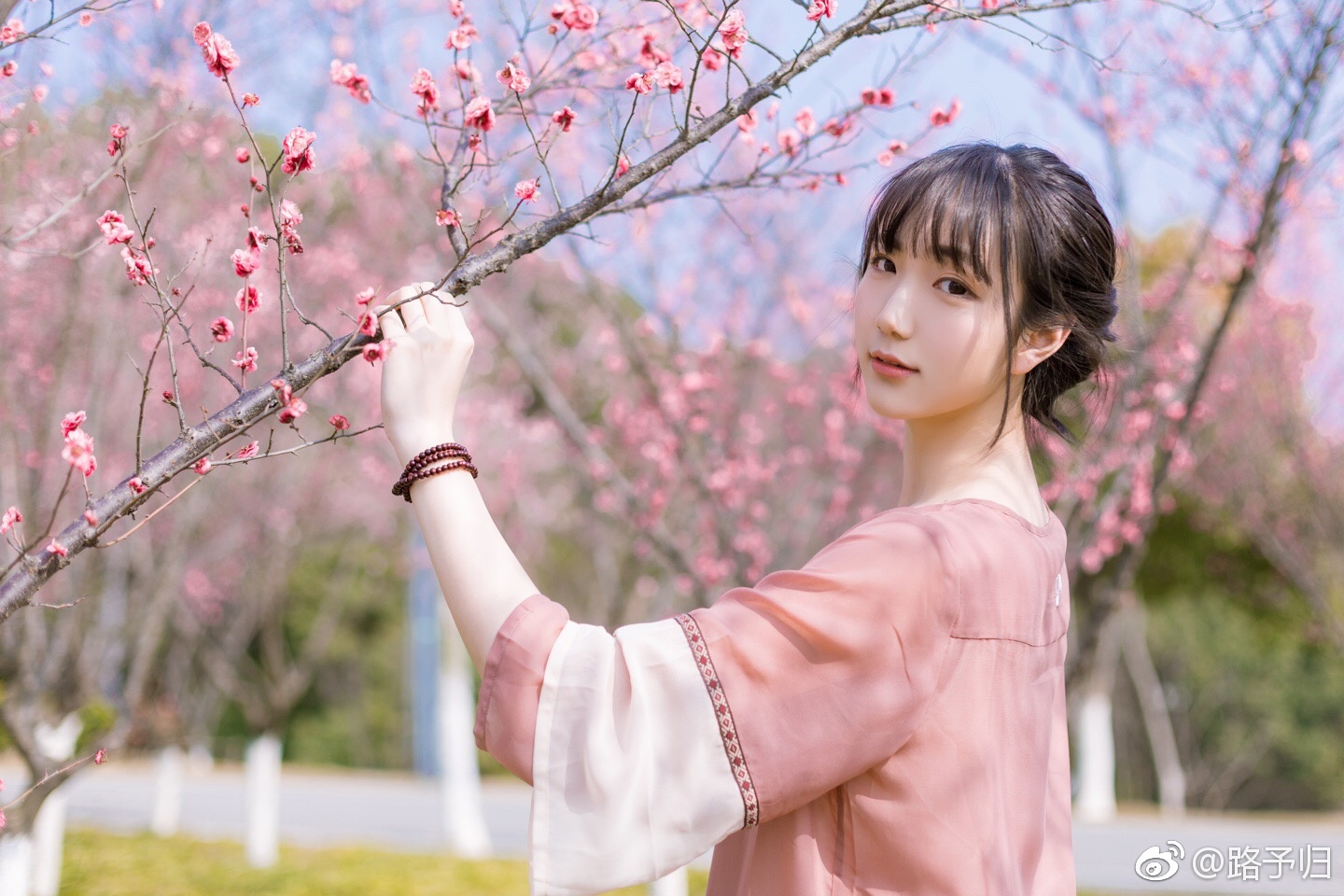 哪得梅花扑鼻香