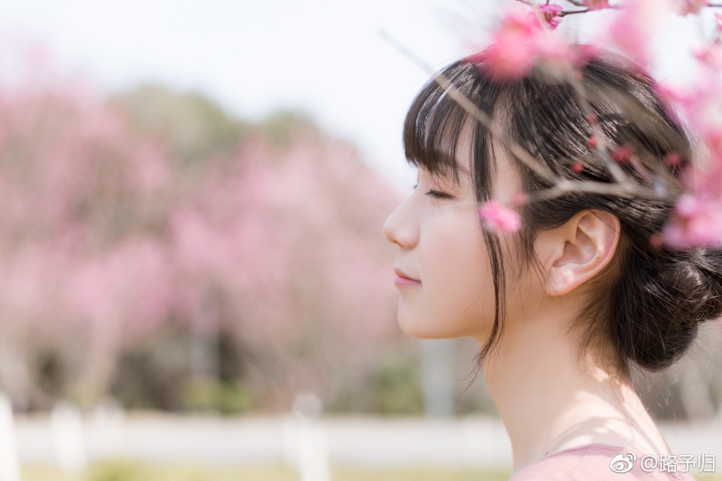 哪得梅花扑鼻香