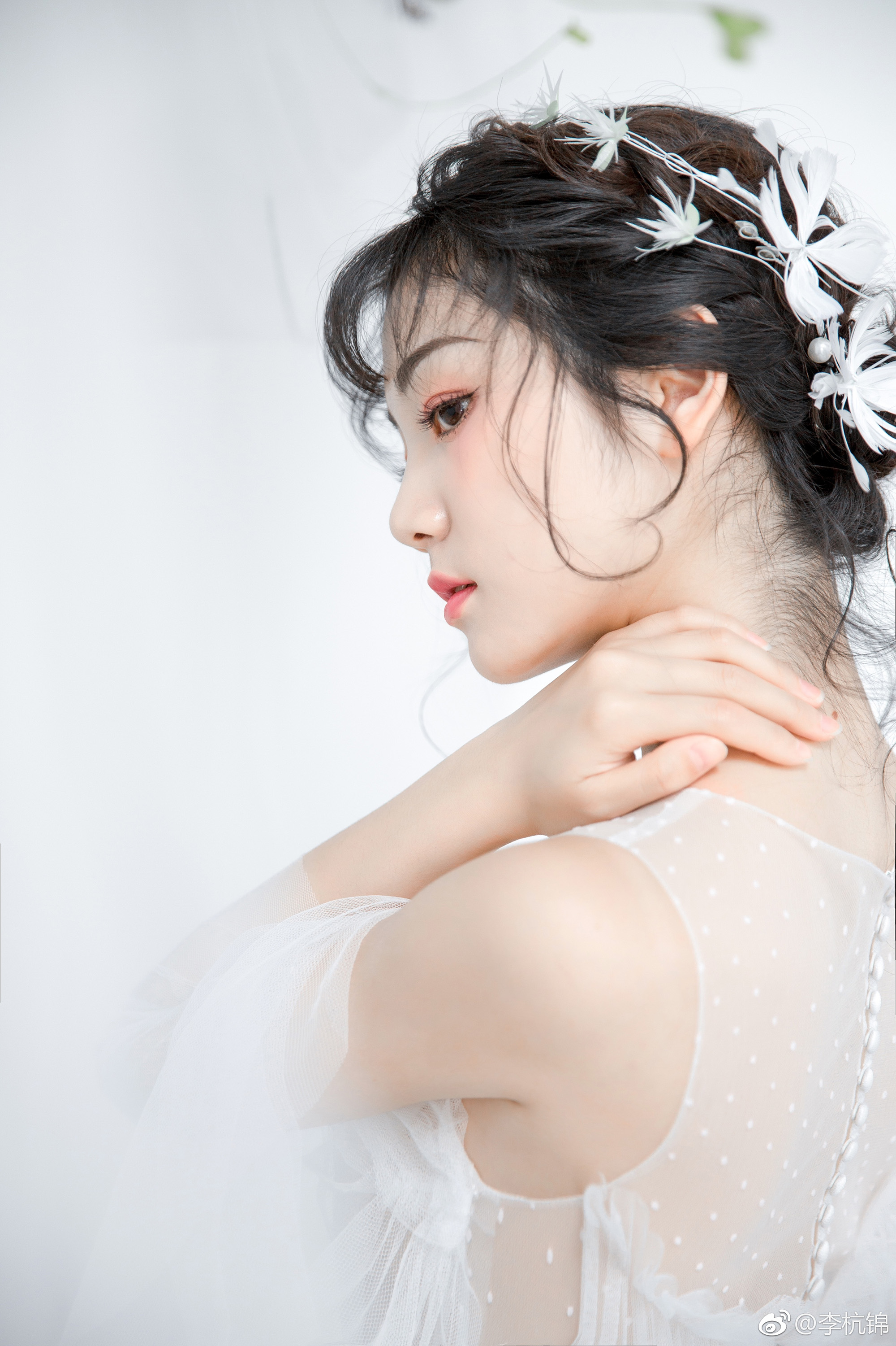 伴君常开花一朵
