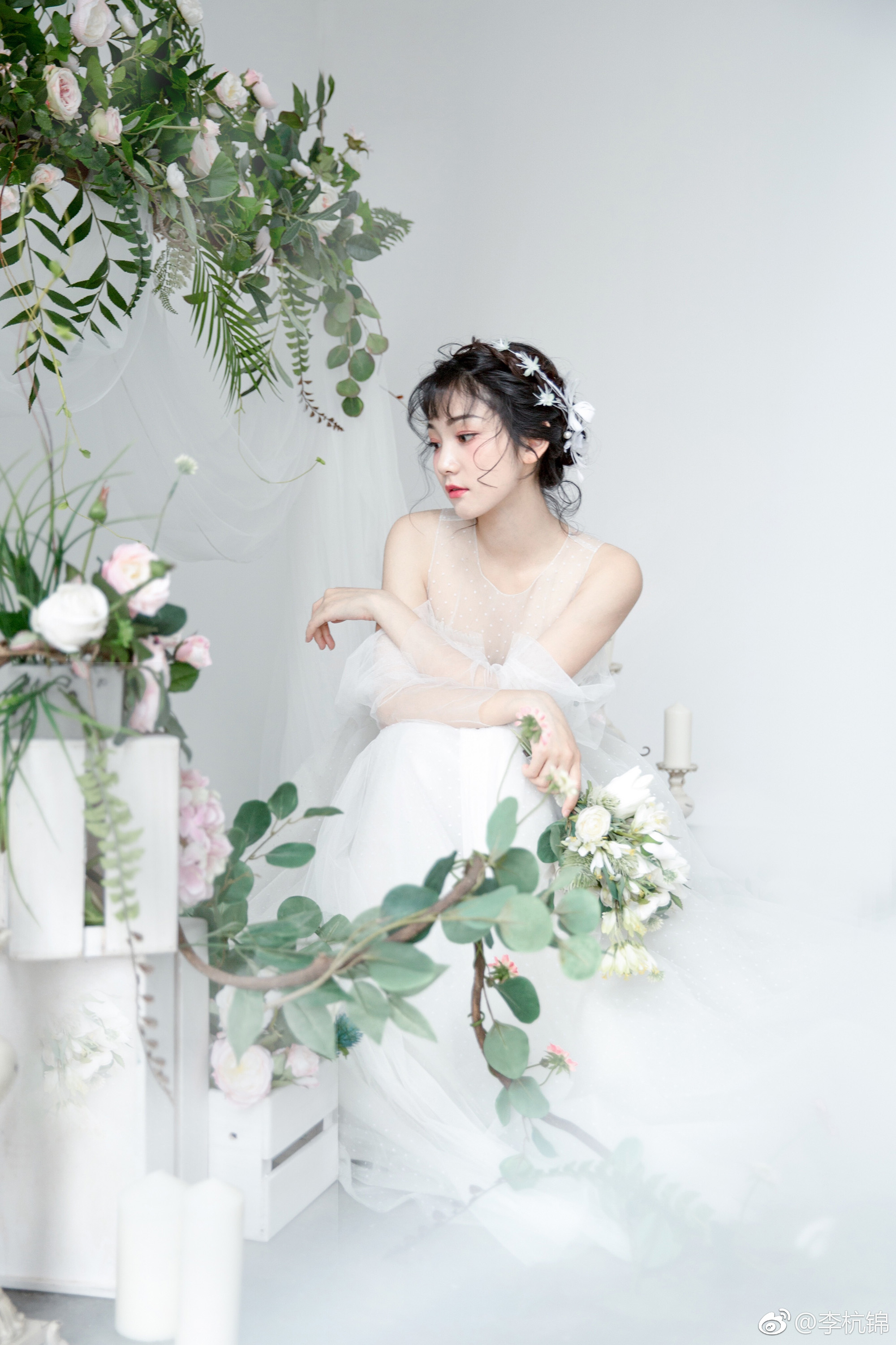 伴君常开花一朵