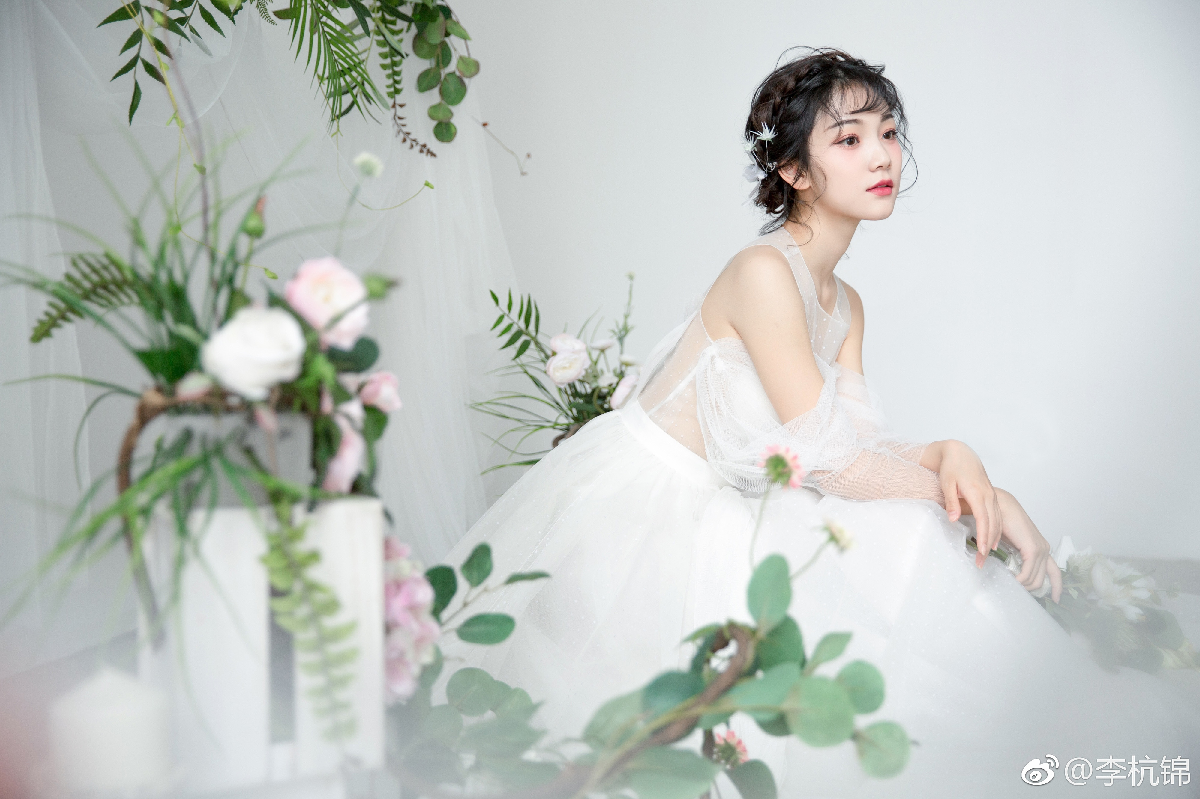 伴君常开花一朵