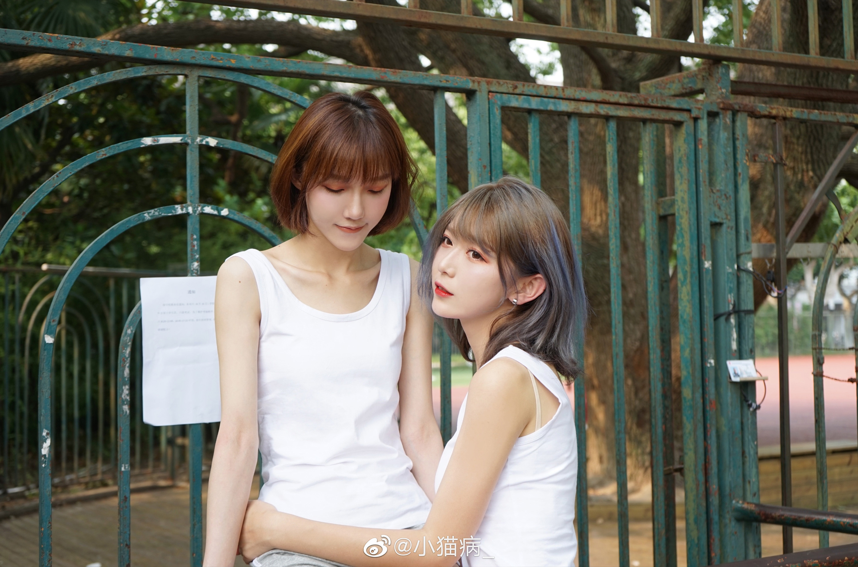 等个妹妹一起过下一个夏天