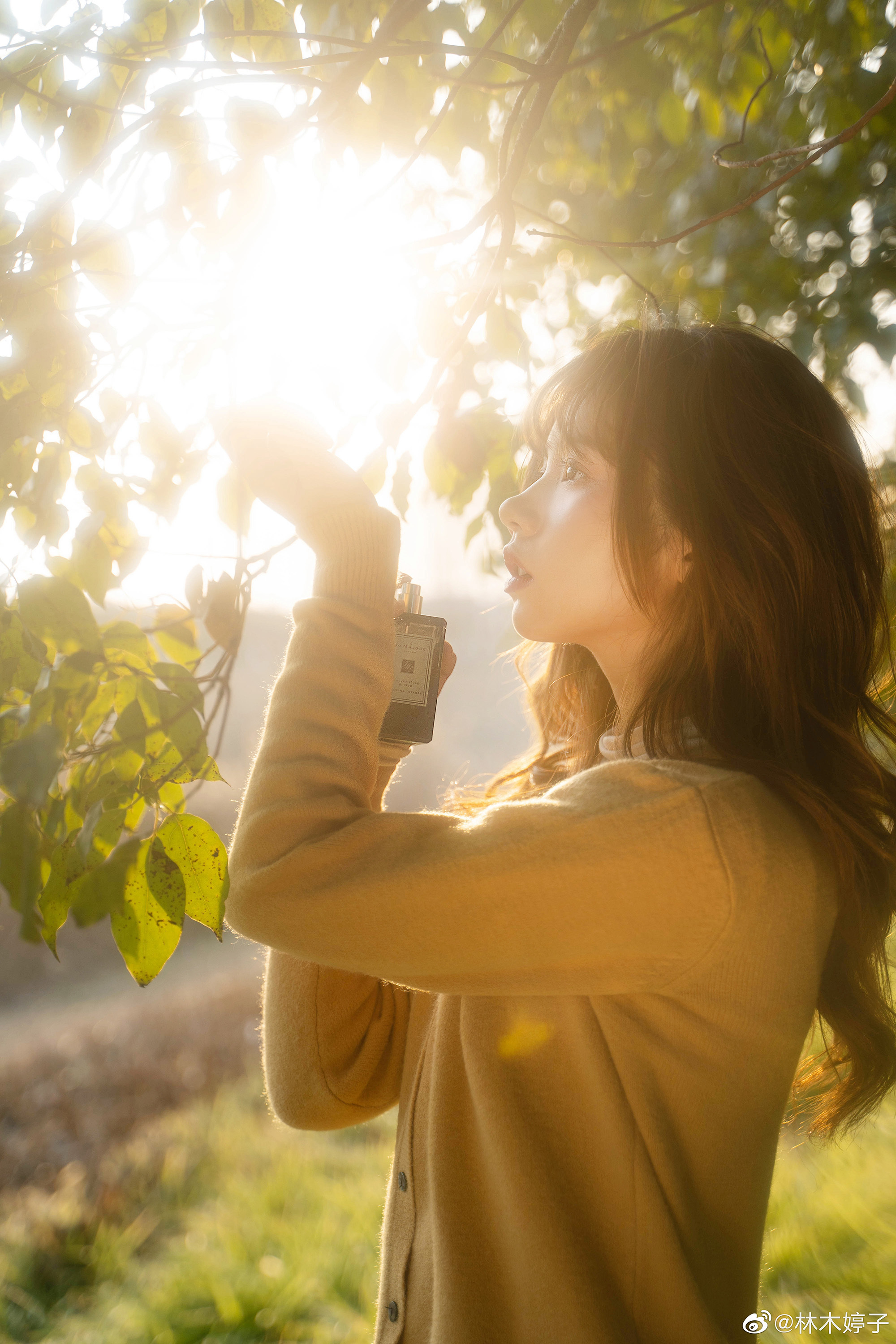 如果你也刚好看到夕阳，就当是我们见面吧