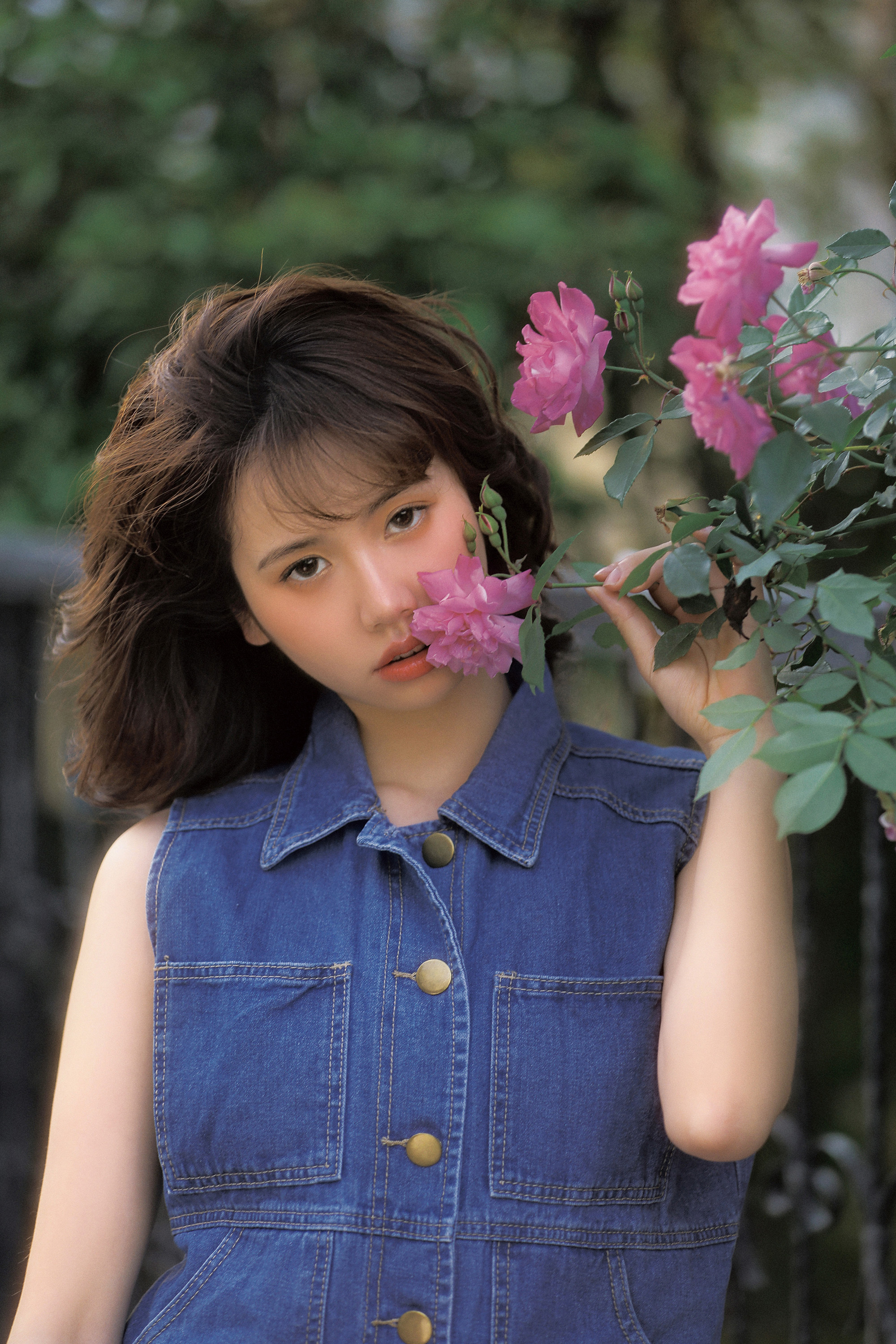 蔷薇花