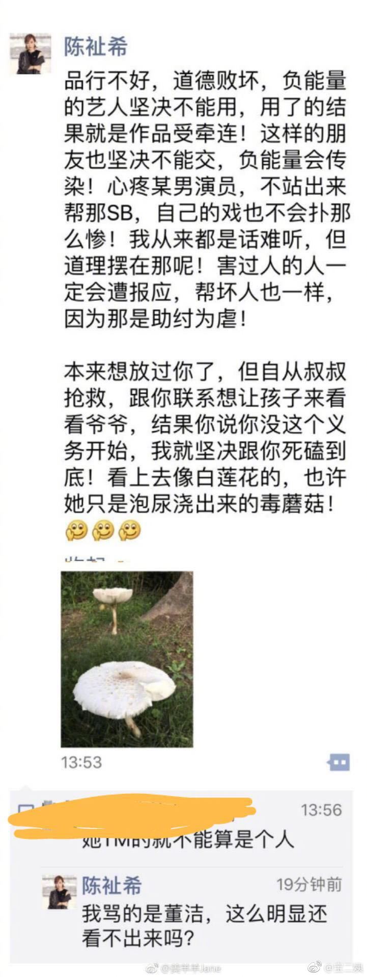  潘粤明前经纪人陈祉希手撕董洁：看上去是白莲花，实际是毒蘑菇。