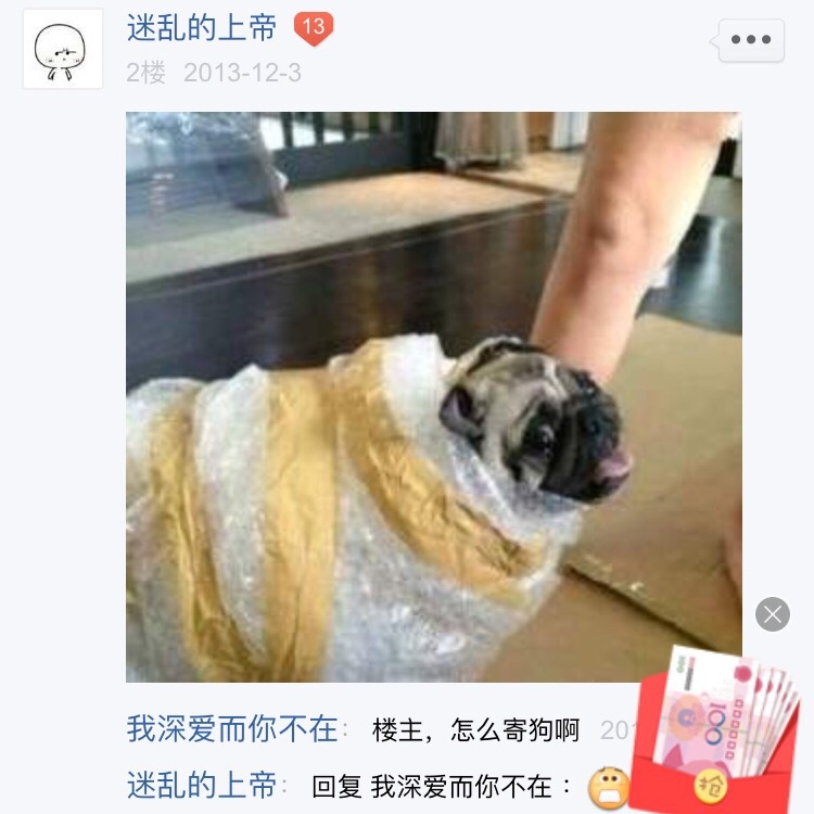 我就百度了一下宠物托运，这样也行吗，哈哈哈哈哈哈 ​​​​