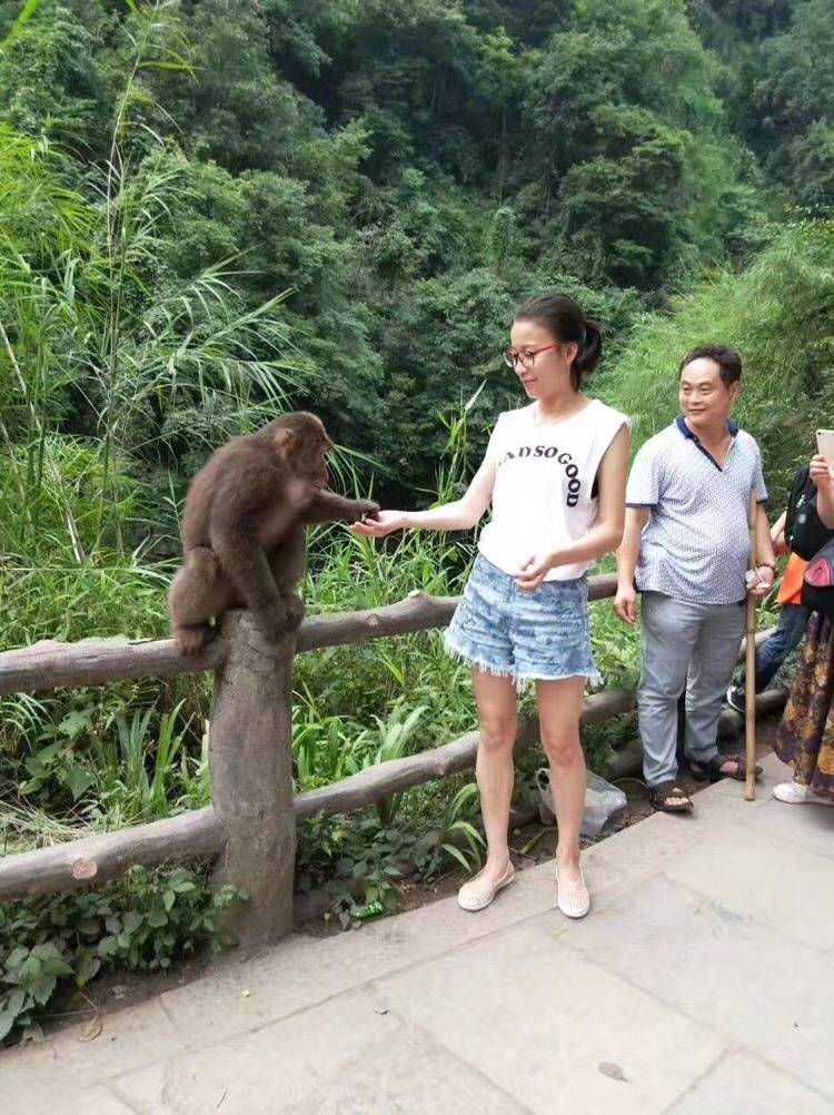 被猴王选中的女人 ​​​​