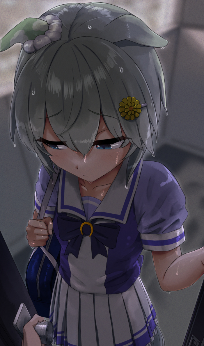 【p站美图】慵懒的小猫猫《赛马娘》星云天空壁纸特辑 - acg17.com