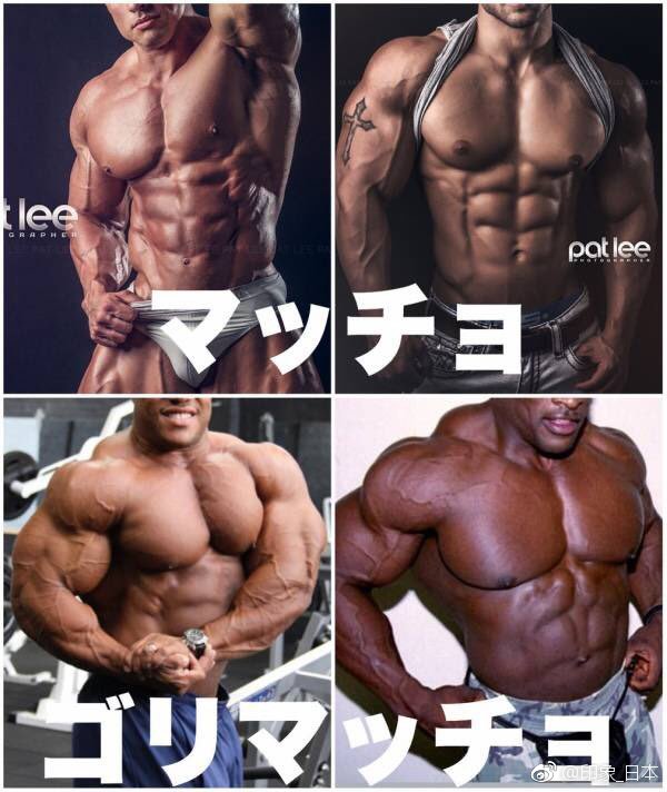 日本一博主po出的型男身材的4种类型，你比较中意哪一款呢