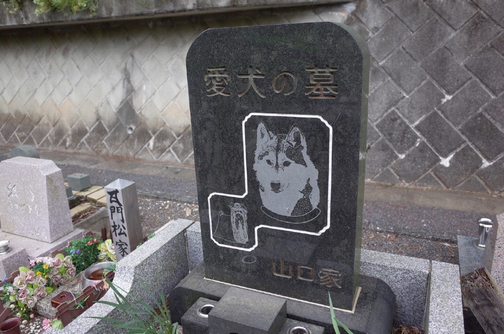 寺山修司墓附近有个犬猫墓地，看得人心都化了。