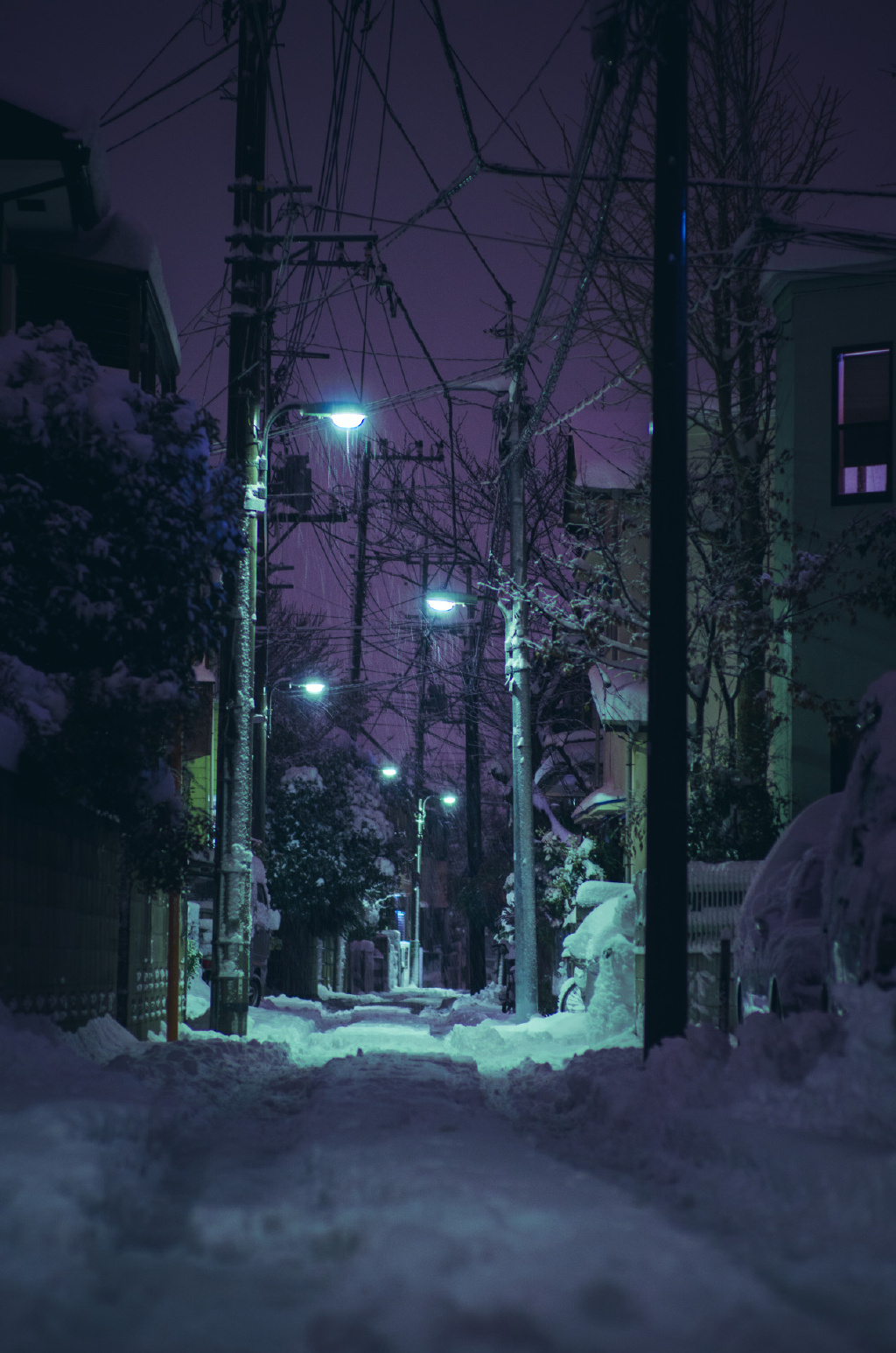 雪夜，东京 ｜Masashi Wakui ​​​​
