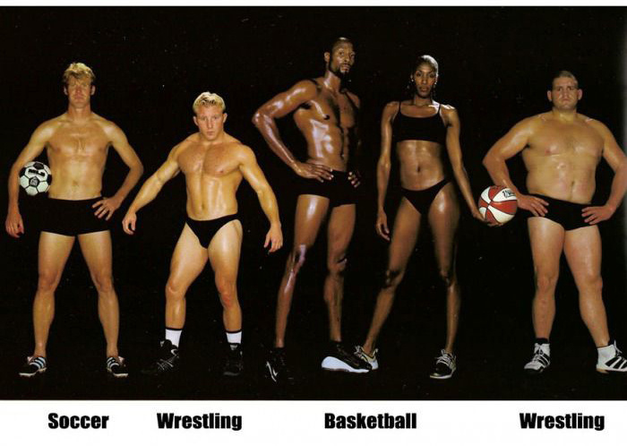 不同项目的体育运动员体型比较 ​​​​
