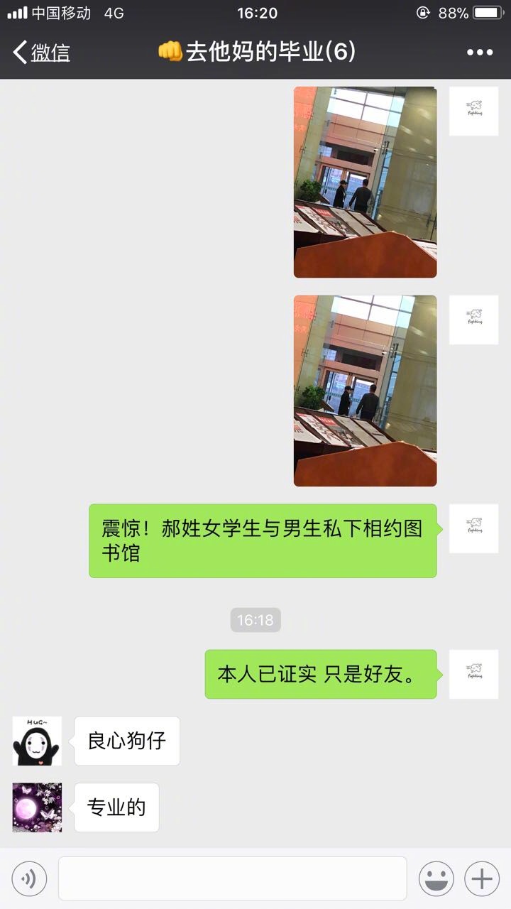 这个宿舍的朋友，你们戏未免太多了叭？ ​​​​