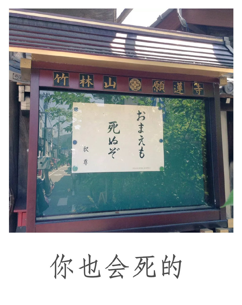 真·佛系！！！日本寺庙布告栏，除了日常通知，还会张贴由方丈抄写的一两句标语，一般都很扎心