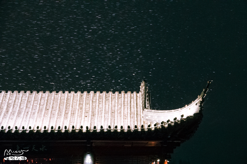 暴雪袭前实拍：南京玄武上空的雪花，像亿万精灵在狂舞，简直美呆了！