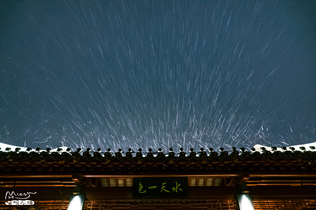 暴雪袭前实拍：南京玄武上空的雪花，像亿万精灵在狂舞，简直美呆了！
