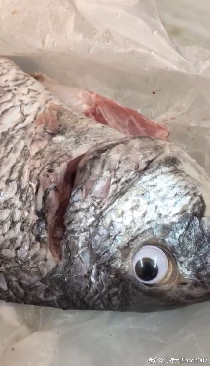 科威特政府部门封了一家商店，因为该店在鱼眼上贴上眼珠贴片冒充鲜鱼