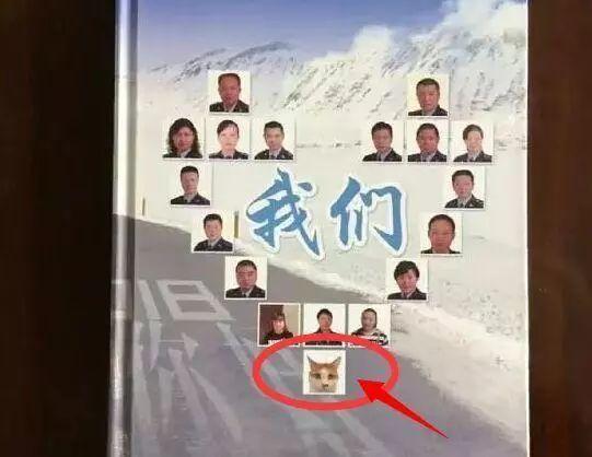 新中国第一只“公务员喵”。