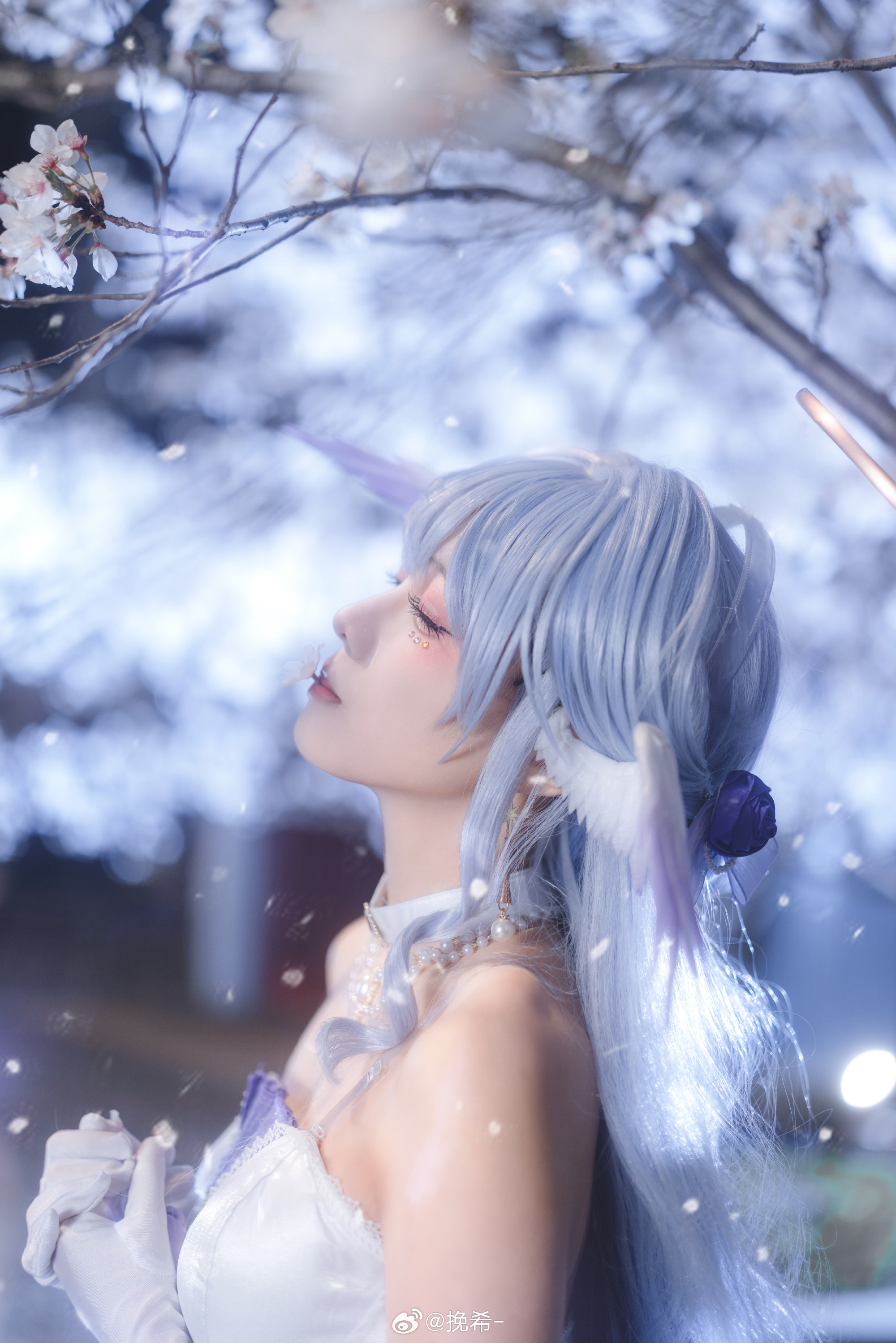 COSPLAY  ✨美丽的夜樱和小鸟 星穹铁道 知更鸟@挽希- COSPLAY-第6张