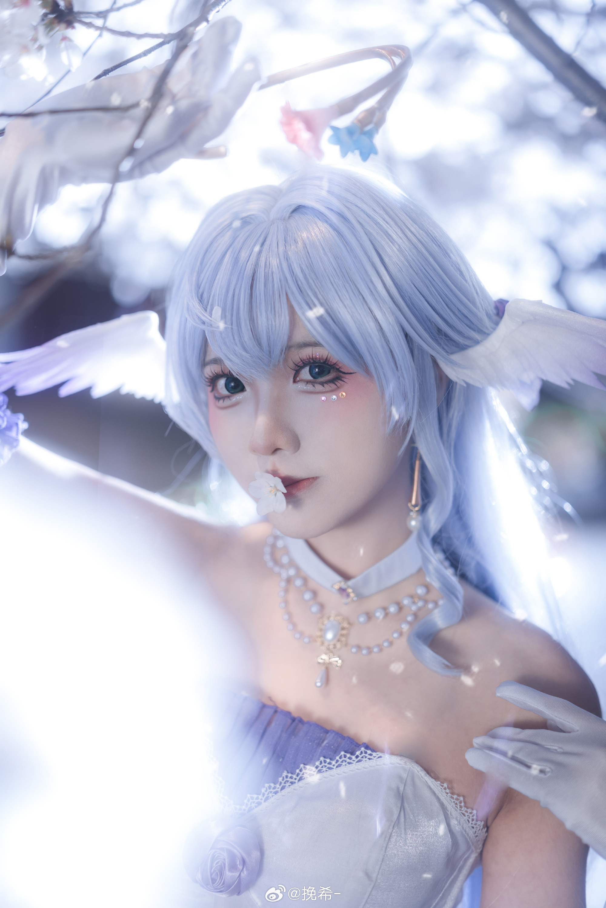 COSPLAY  ✨美丽的夜樱和小鸟 星穹铁道 知更鸟@挽希- COSPLAY-第5张