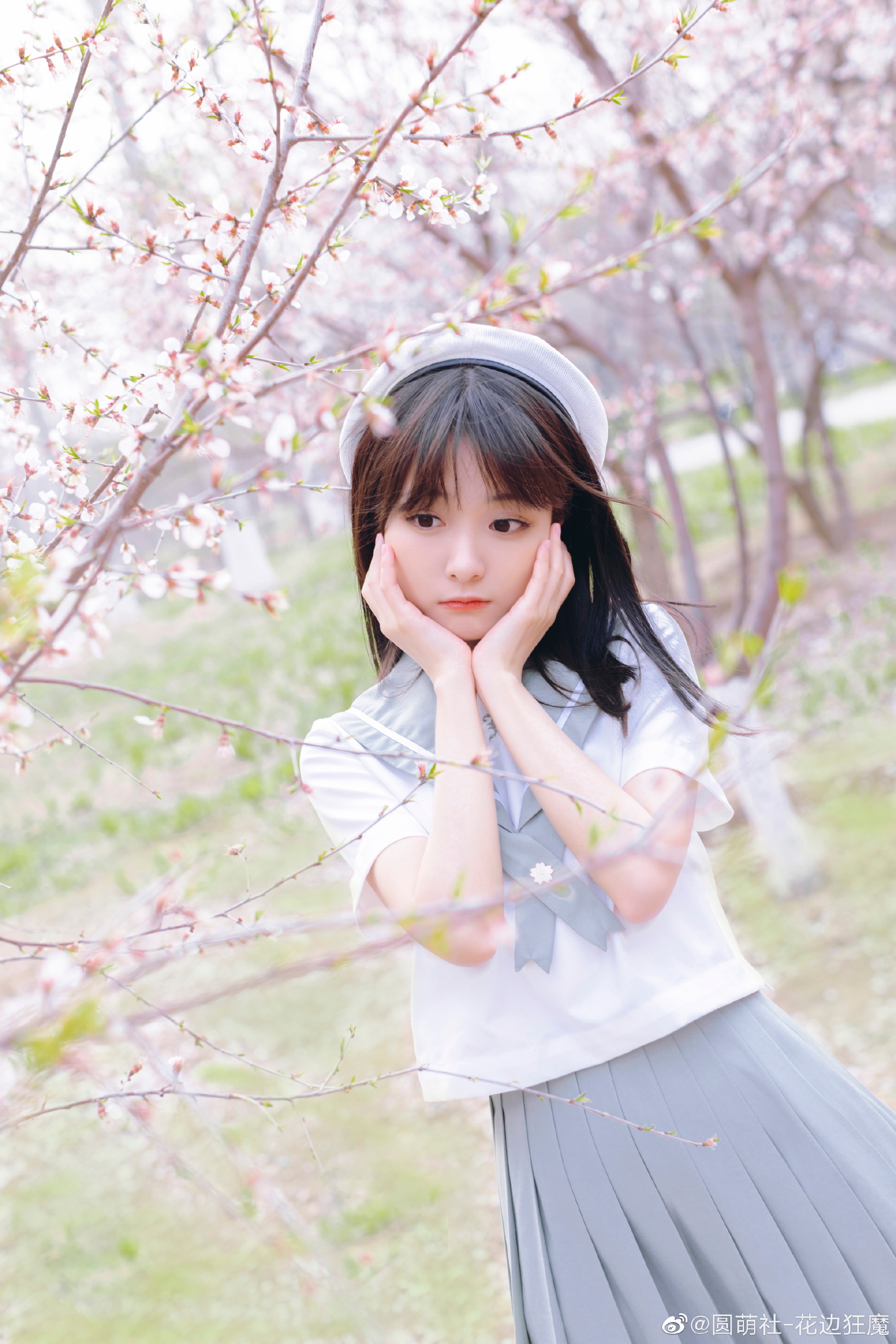 春日预告！@v机智糖浆v