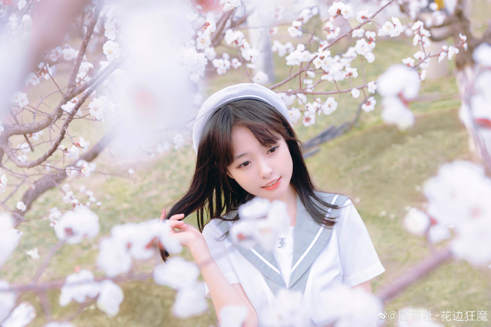 春日预告！@v机智糖浆v