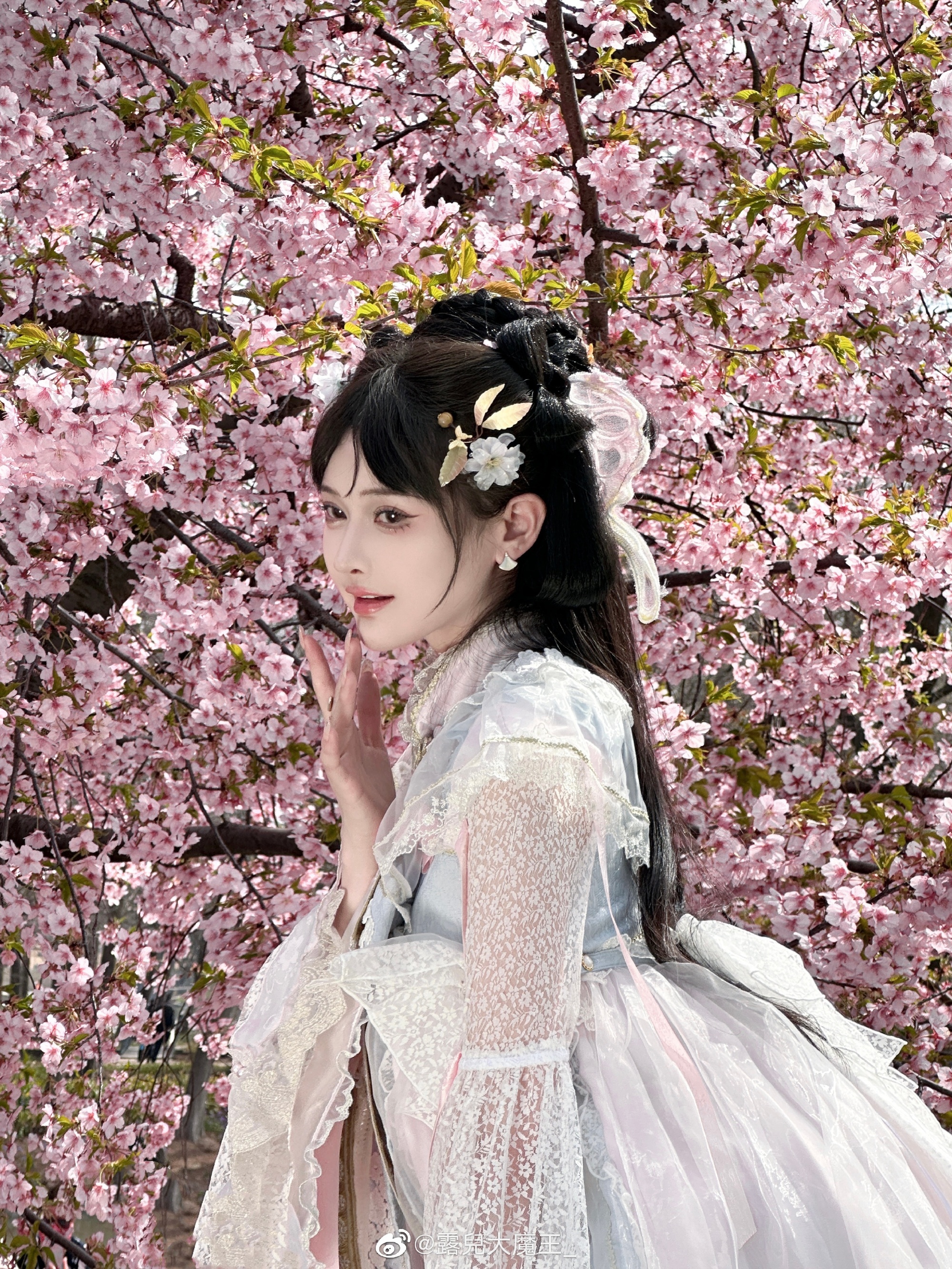 呀~露师傅终于拍到早樱了~   ? 樱花@露兒大魔王_