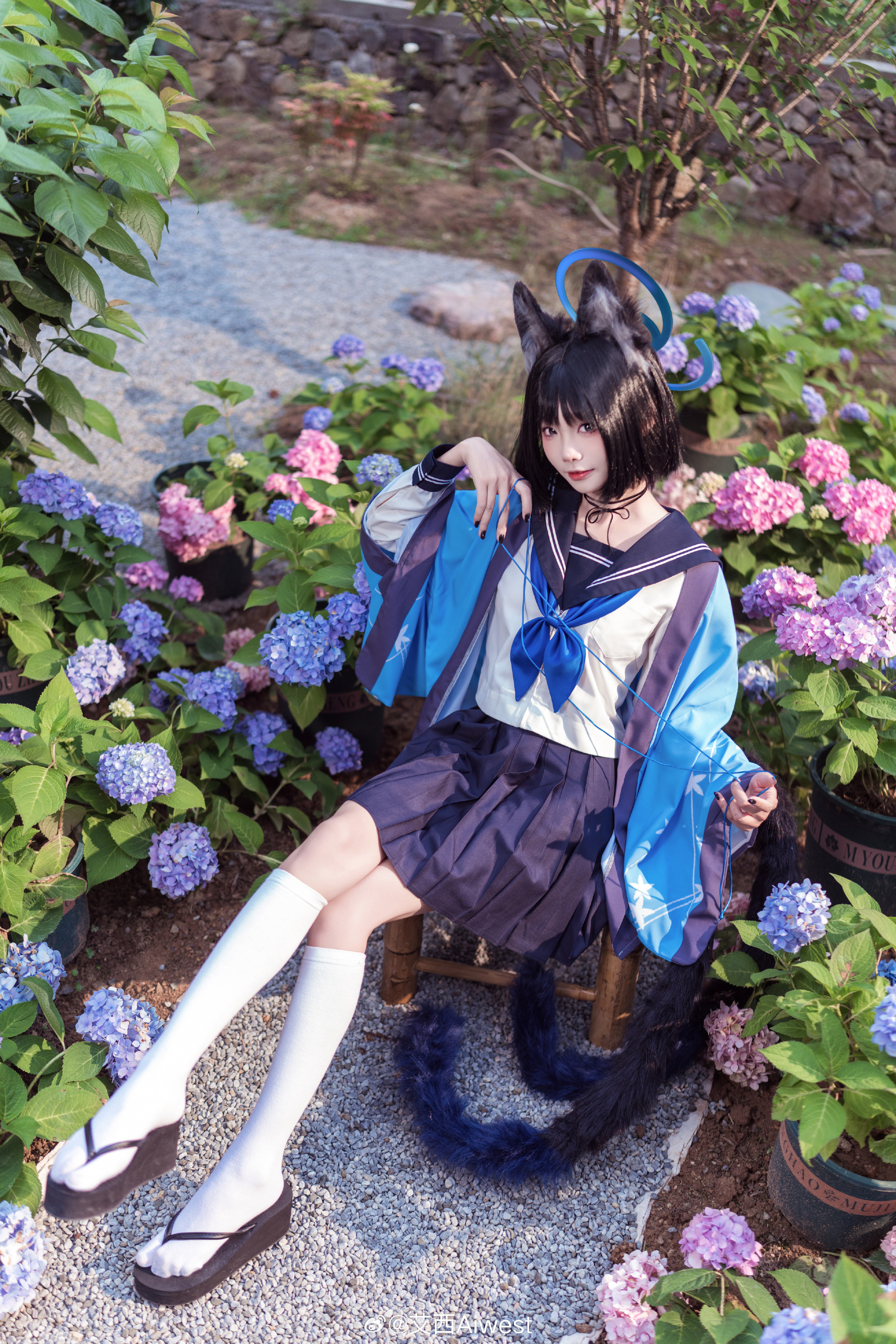 COSPLAY 蔚蓝档案 桐生桔梗@艾西Aiwest COSPLAY-第3张