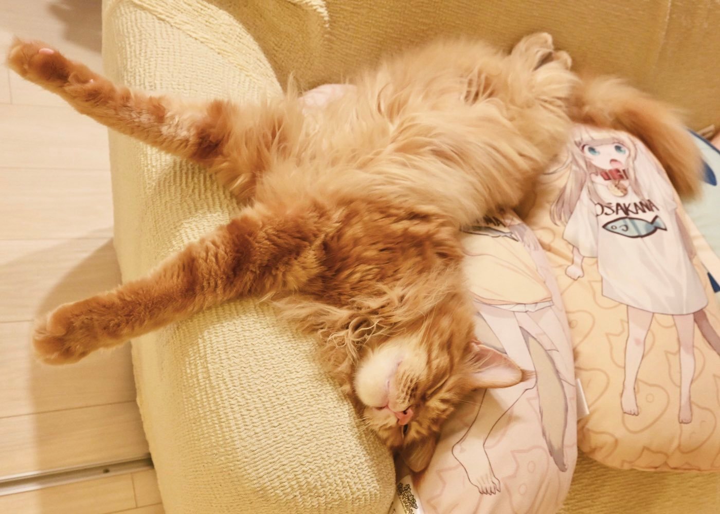 【动漫美图】你喜欢猫娘吗！？猫猫图壁纸特辑 P站美图-第3张